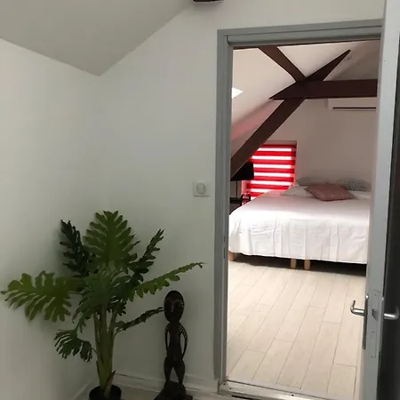 Alsacian - Old Town Cosy * コルマール