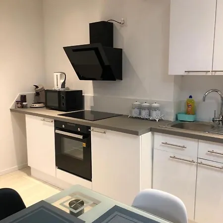 Alsacian - Old Town Cosy アパート コルマール