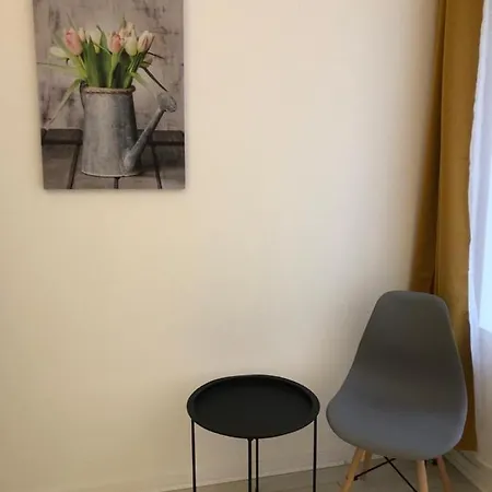 Alsacian - Old Town Cosy Apartment Colmar