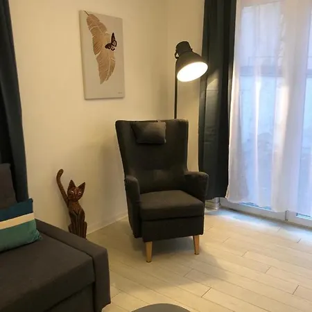 Apartment Alsacian - Old Town Cosy Colmar